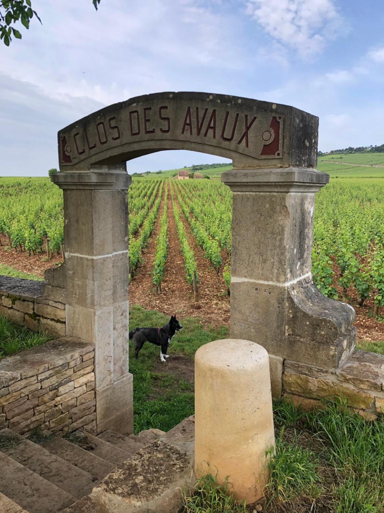 Apartamento La Route Des Vins Beaune  Exterior foto